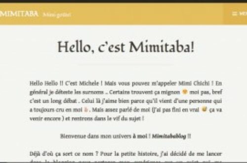 Article : MimiTaba : le nouveau-né de la blogosphère béninoise